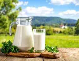 Fermented Dairy