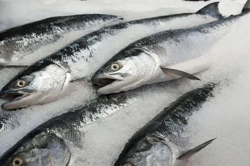 Frozen Fish