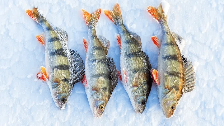 Fillets