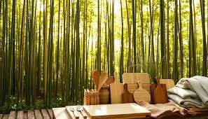 Bamboo Products