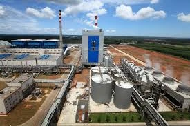 Chemical Pulp