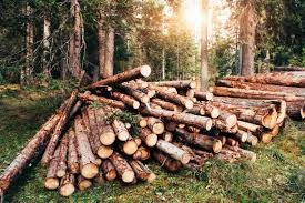 Fuel wood