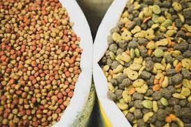 Meat flours, meals, pellets & greaves