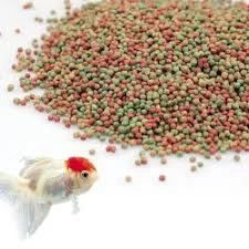 Fish Meal & Aquatic Feed