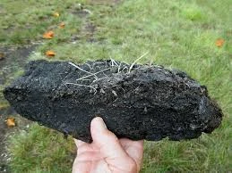 Peat Fuel