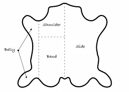 Butts, Bends & Bellies
