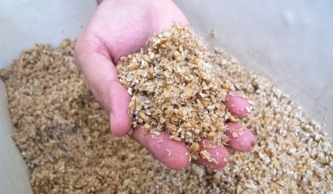 Brewing Waste