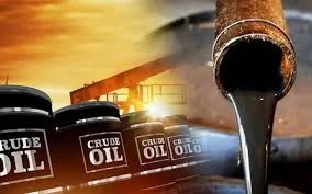 Crude Petroleum Oils