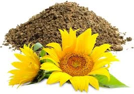 Sunflower Oil Cake