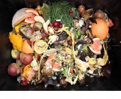 Animal Feed Waste