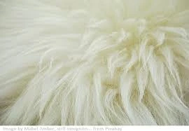 Coarse Animal Hair Fabrics