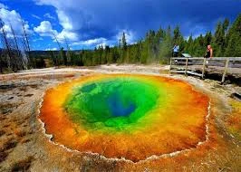 Colour lakes & preparations