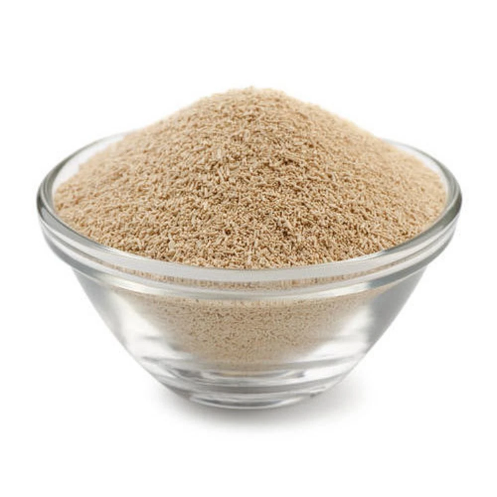 Active Yeasts