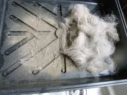 Animal Hair Waste