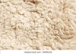 Raw Wool