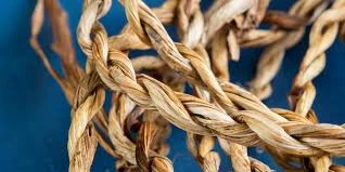 Yarn & Cordage Articles