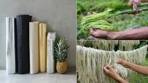 Vegetable Fibres & Waste