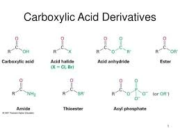 Carboxylic acids & derivatives